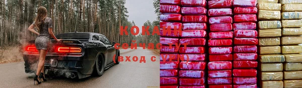 ешки Алзамай