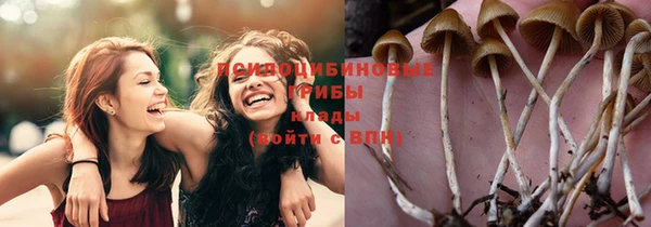 не бодяженный Абдулино