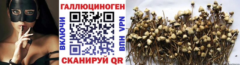 где купить наркоту  Фрязино  Галлюциногенные грибы Magic Shrooms 