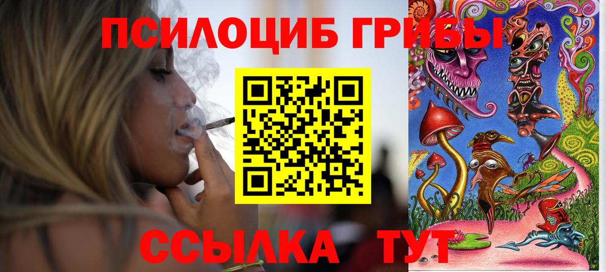 Псилоцибиновые грибы Psilocybine cubensis  Вход с VPN  Фрязино 