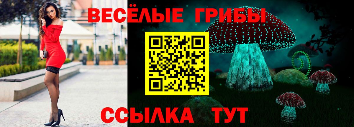 Псилоцибиновые грибы Psilocybe Фрязино