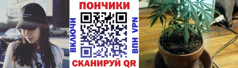 как найти   Фрязино  Бошки Шишки гибрид 